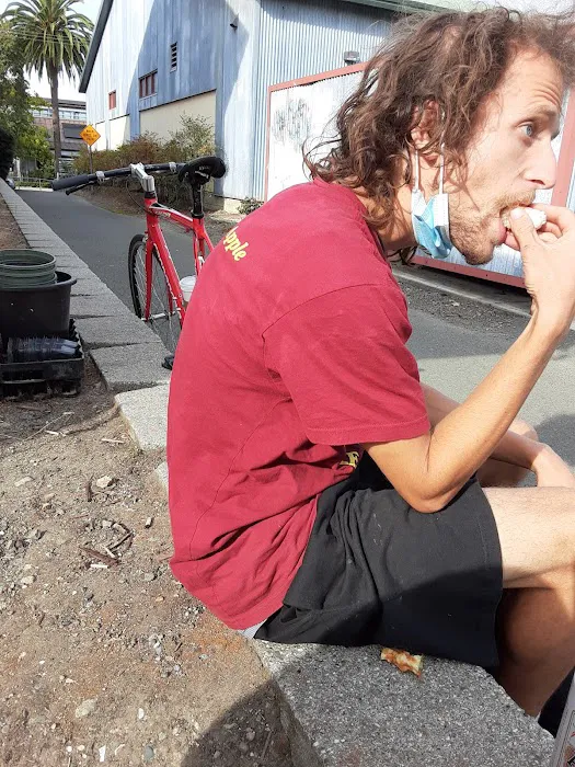 Sebastopol Bike Center Picture 8