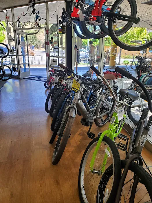 Sunshine Bicycle Center Picture 3