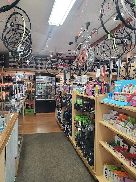 Sunshine Bicycle Center Picture 1