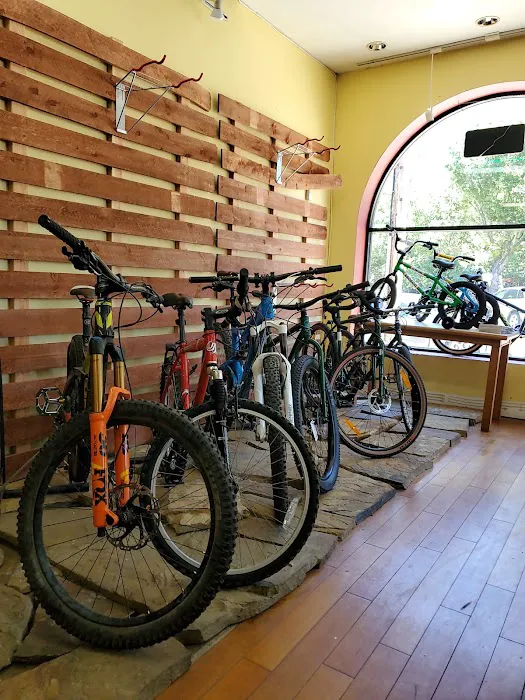 Caesar’s Cyclery Picture 3