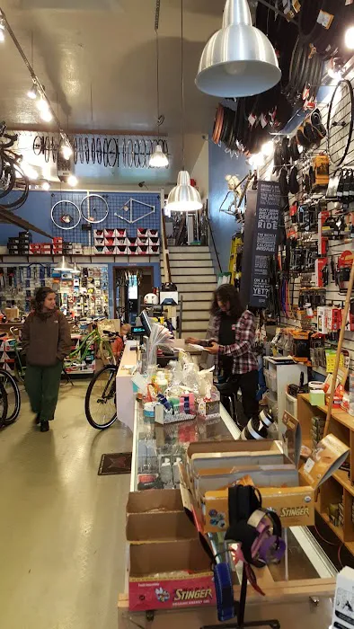 Ocean Cyclery Picture 4