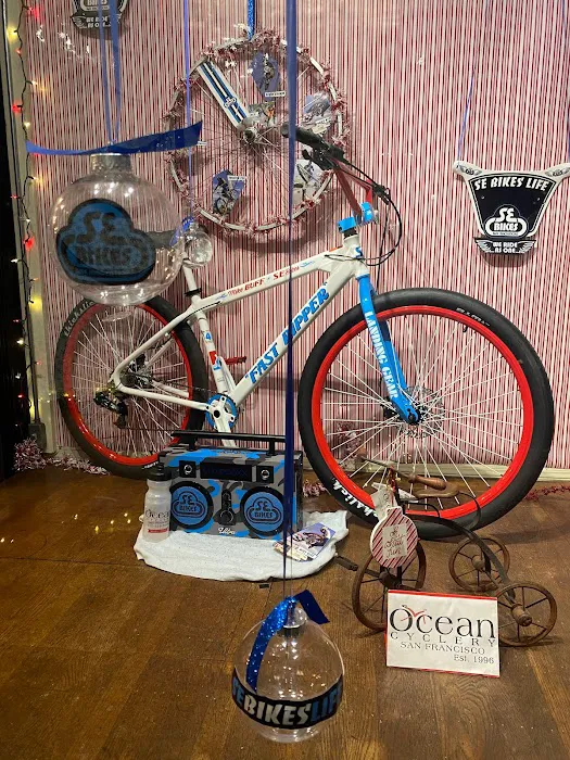 Ocean Cyclery Picture 3
