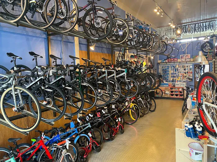 Ocean Cyclery Picture 7