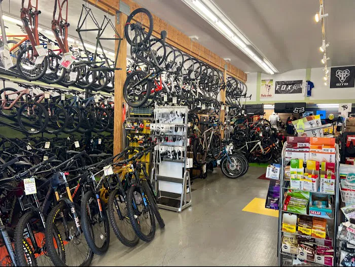 Tam Bikes Picture 1