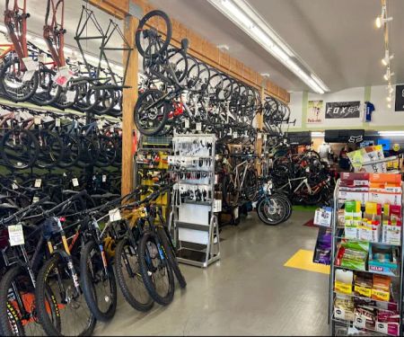 Tam Bikes