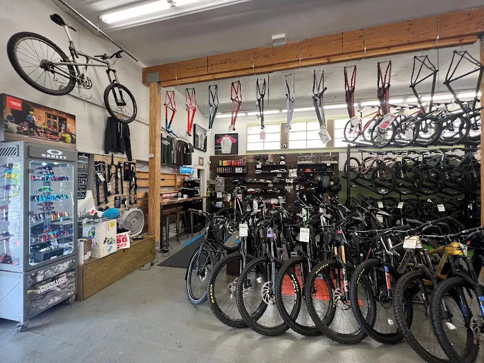 Tam Bikes Picture 7
