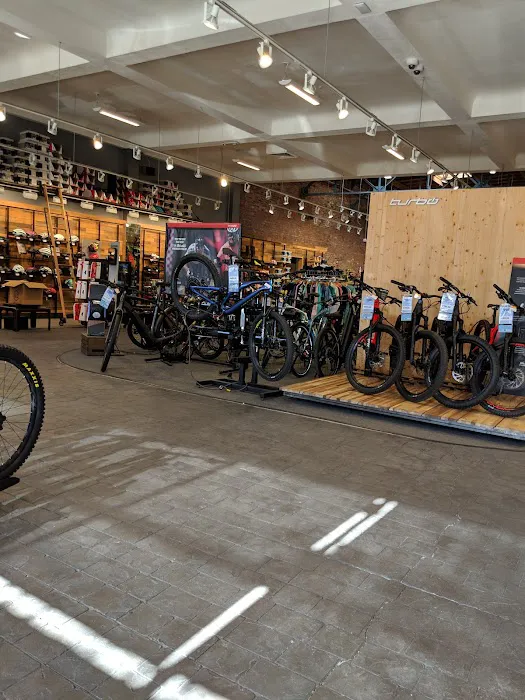 Mike's Bikes of San Rafael Picture 3