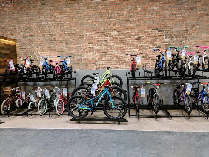 Mike's Bikes of San Rafael Picture 7