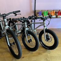 Pink Puffin Bicycles ico