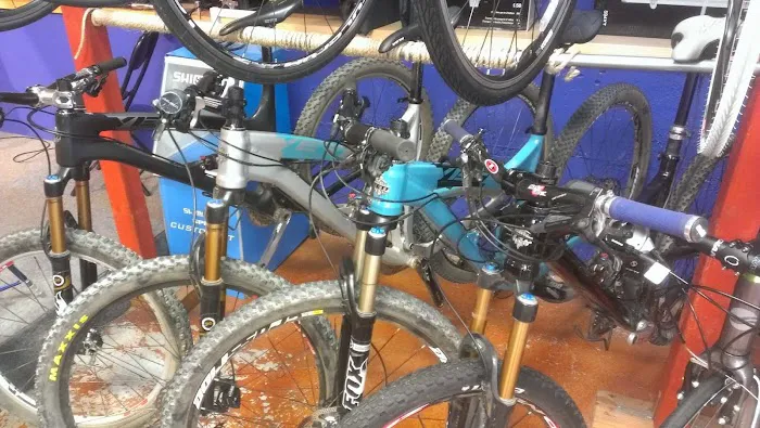 Big Swingin' Cycles Picture 8