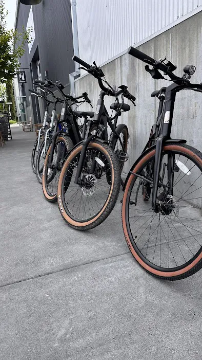 Revel Cycles Picture 5