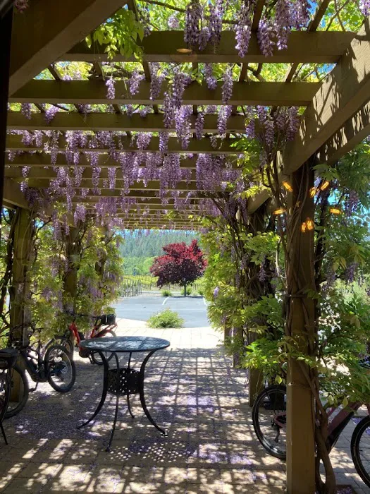 Calistoga Bikeshop Picture 1