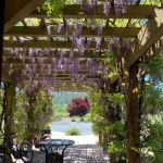 Calistoga Bikeshop