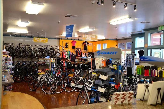 The Bike Shop, Windsor Picture 6