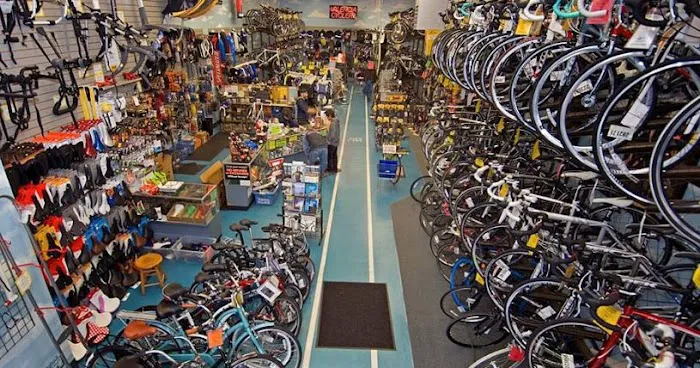 Valencia Cyclery Picture 2