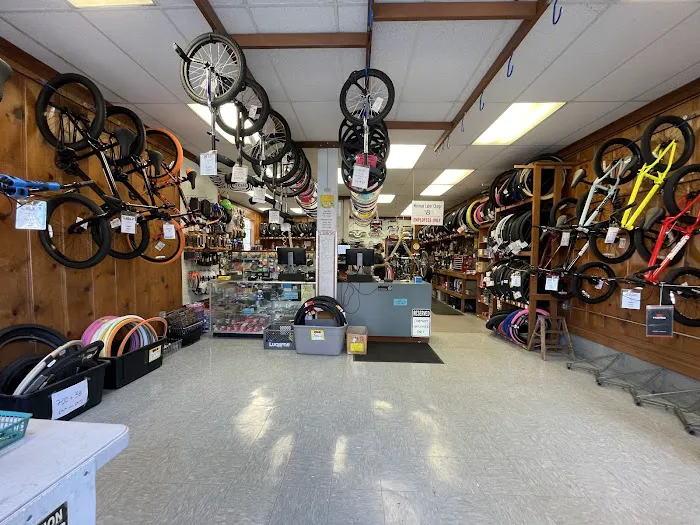 Valencia Cyclery Picture 5