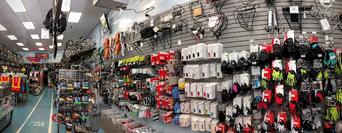Valencia Cyclery Picture 8
