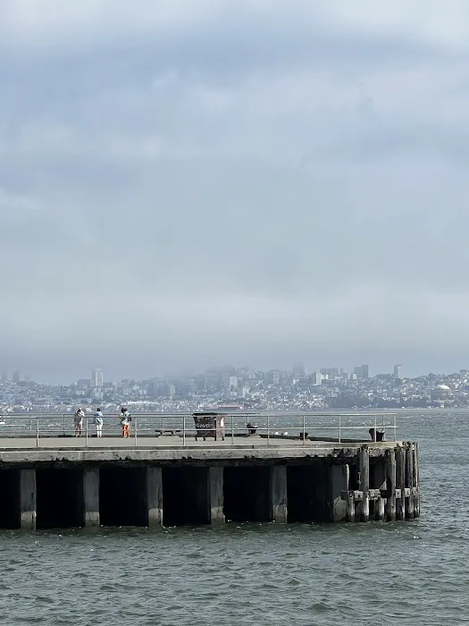 SF Wheels Picture 7