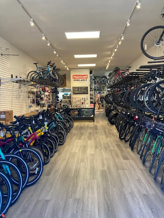 Avenue Cyclery Picture 6