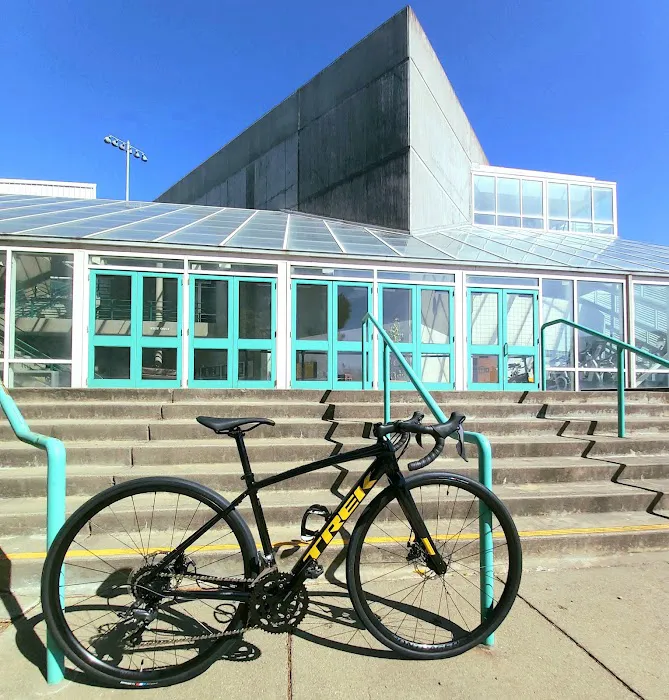 Avenue Cyclery Picture 10