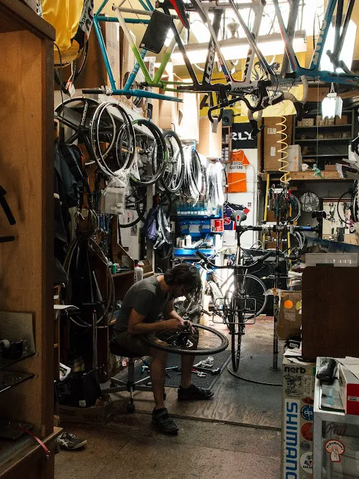 Freewheel Bike Shop Picture 3