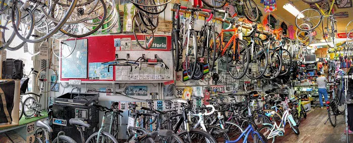Freewheel Bike Shop Picture 1