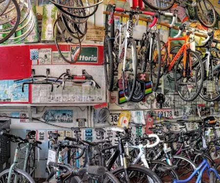 Freewheel Bike Shop