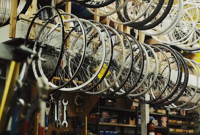 Freewheel Bike Shop Picture 4