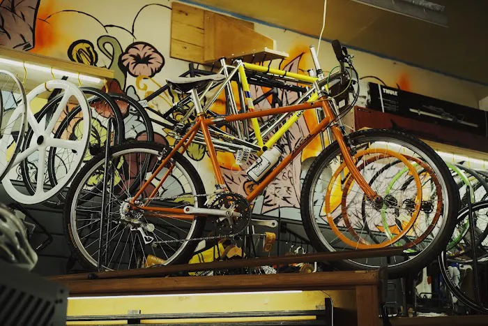 Freewheel Bike Shop Picture 6