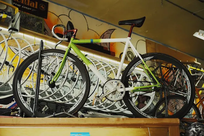 Freewheel Bike Shop Picture 5