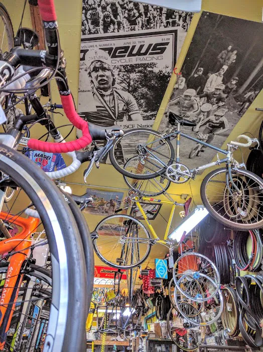 Freewheel Bike Shop Picture 9