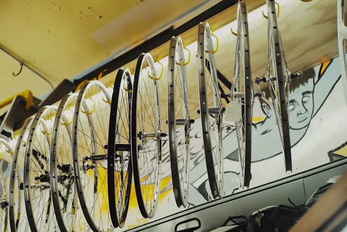 Freewheel Bike Shop Picture 10