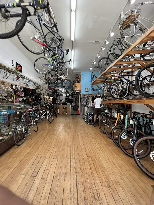 Box Dog Bikes Picture 2