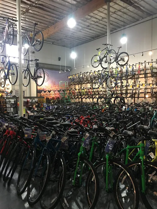 The Bike Connection Picture 1