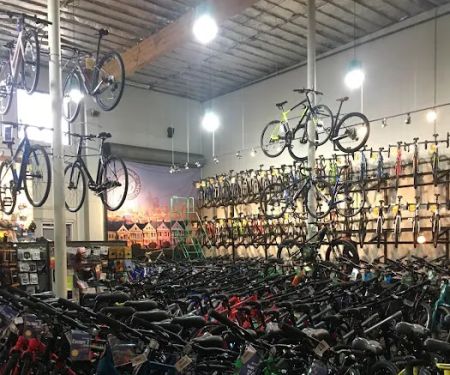 The Bike Connection