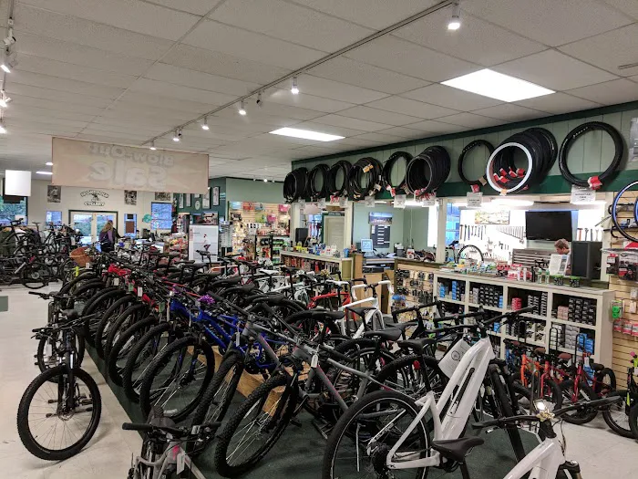 Spoke Folk Cyclery Picture 8