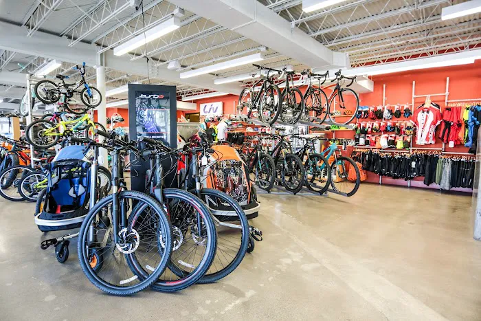 Crazy Cat Cyclery Picture 2