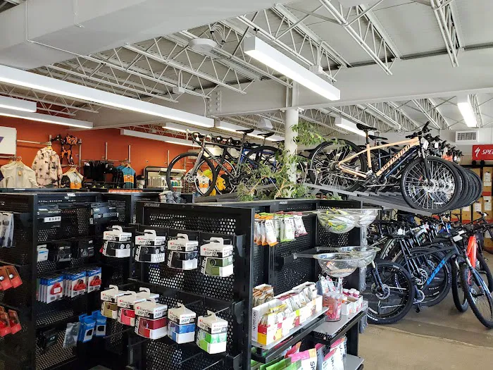 Crazy Cat Cyclery Picture 5