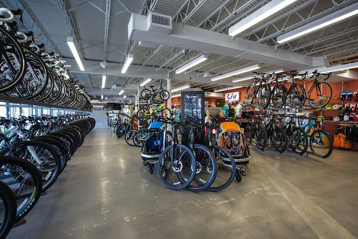 Crazy Cat Cyclery Picture 6