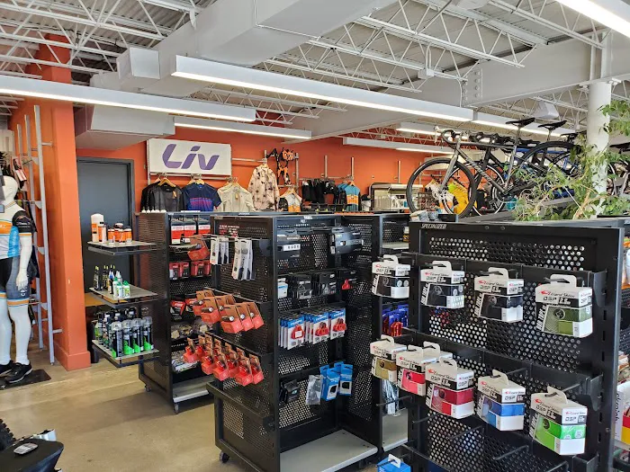 Crazy Cat Cyclery Picture 9