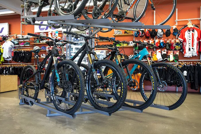 Crazy Cat Cyclery Picture 7