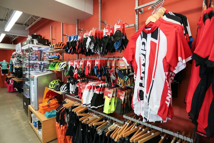 Crazy Cat Cyclery Picture 8