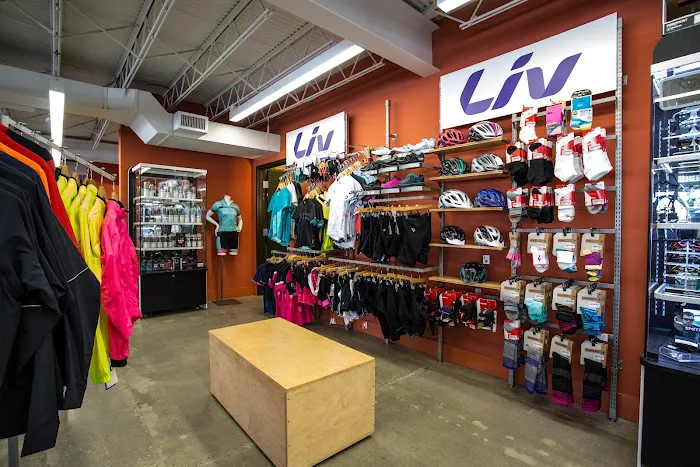 Crazy Cat Cyclery Picture 10