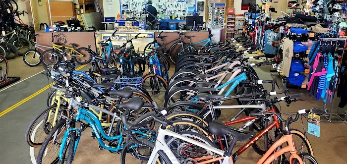 Border Bicycle Picture 2