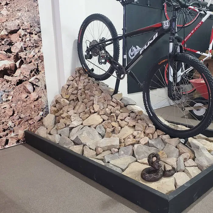 Border Bicycle Picture 10