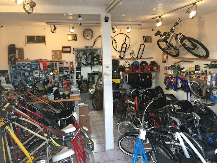 The Bike Station Store Picture 3