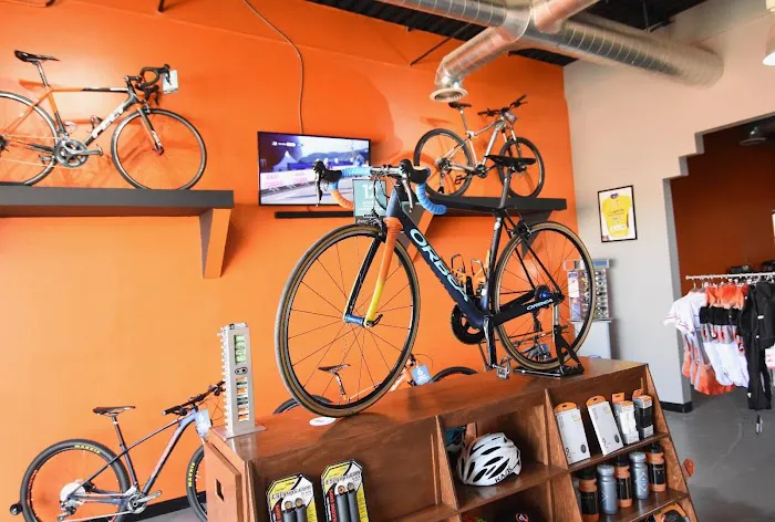 Desert Fox Cyclery Picture 7