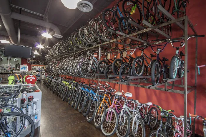 Trek El Paso Picture 7