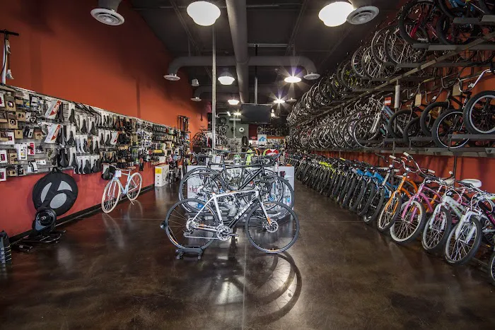 Trek El Paso Picture 4