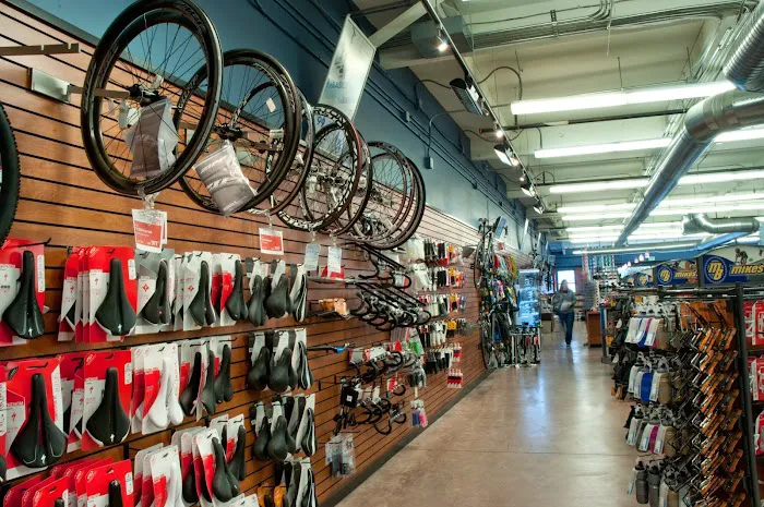 Mike's Bikes of Sacramento Picture 1